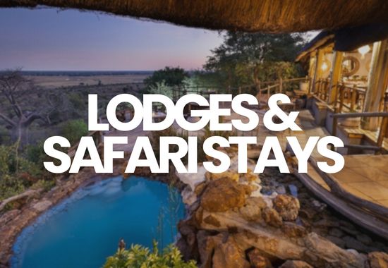 Lodges Safari Stays